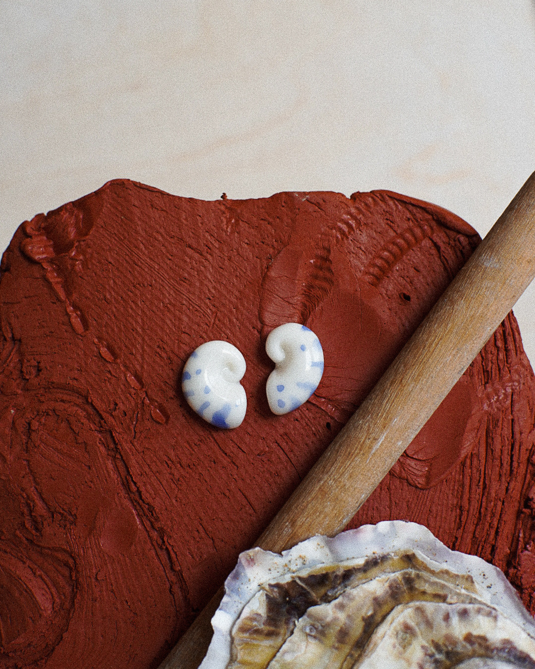 Kolczyki sztyfty muszle Nautilusy, błękitne - Image 10